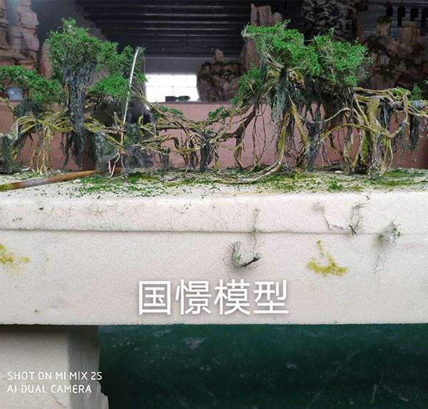 阿拉山口市场景模型